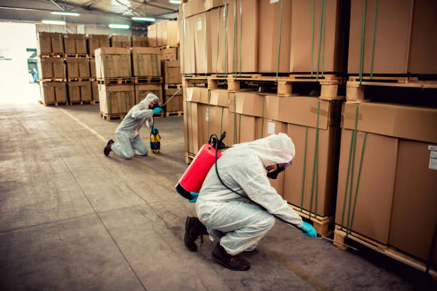 Best Pest Inspection Near Me  in Bridgeport, MI