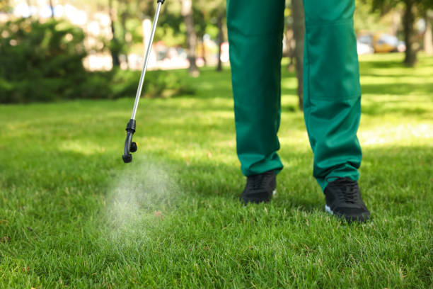 Best Bed Bug Extermination  in Bridgeport, MI