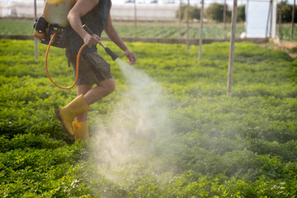 Pest Control Cost in Bridgeport, MI