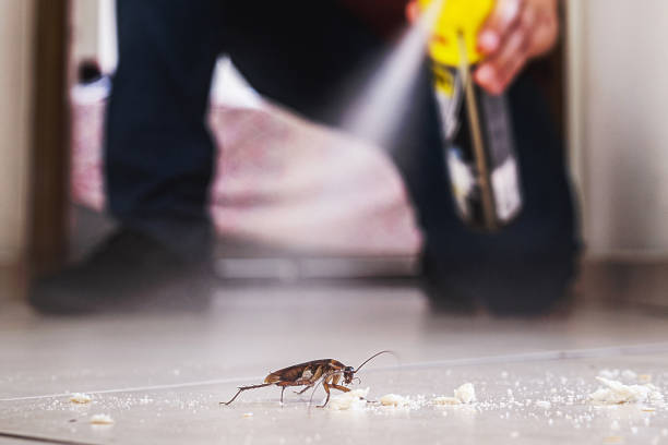 Best Pest Control for Homes  in Bridgeport, MI