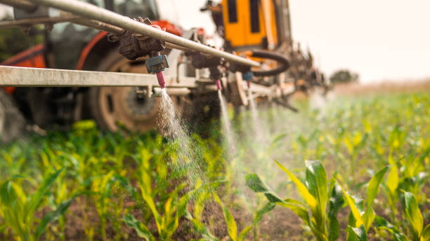 Best Pest Removal Services  in Bridgeport, MI